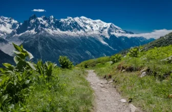 Sentier avec vue panoramique sur le massif du Mont-Blanc sous un ciel dégagé.